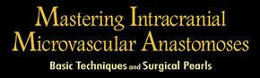 Mastering Intracranial Microvascular Anastomoses